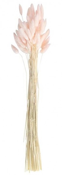 20 Country Wedding Samtgräser rosa 65cm 2
