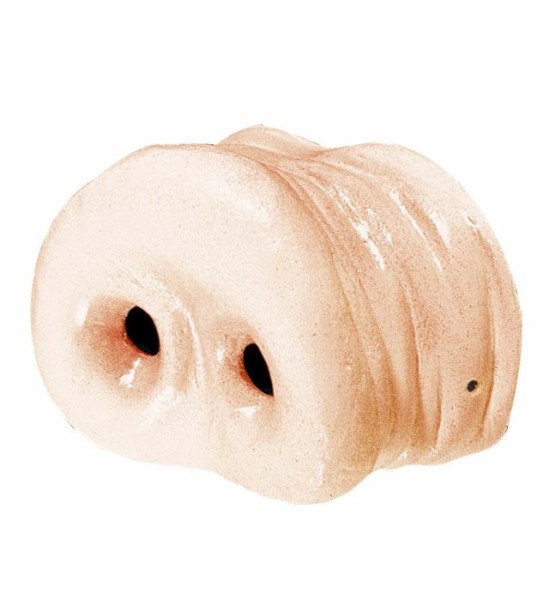 Schweinchen Rudi Schweinenase