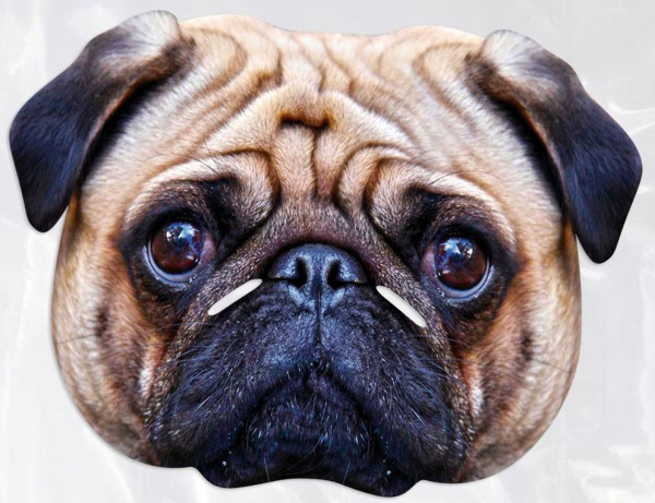 Mops Papp-Maske