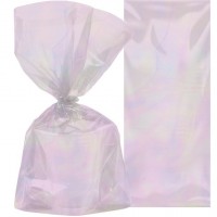 10 Fairyland Geschenktüten