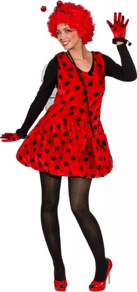 Süßes Marienkäferkleid mit Flügeln