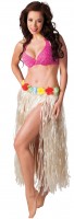 Hawaiirock Karibik 80cm