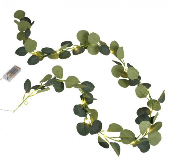 Best Day Eukalyptus Lichterkette 2m