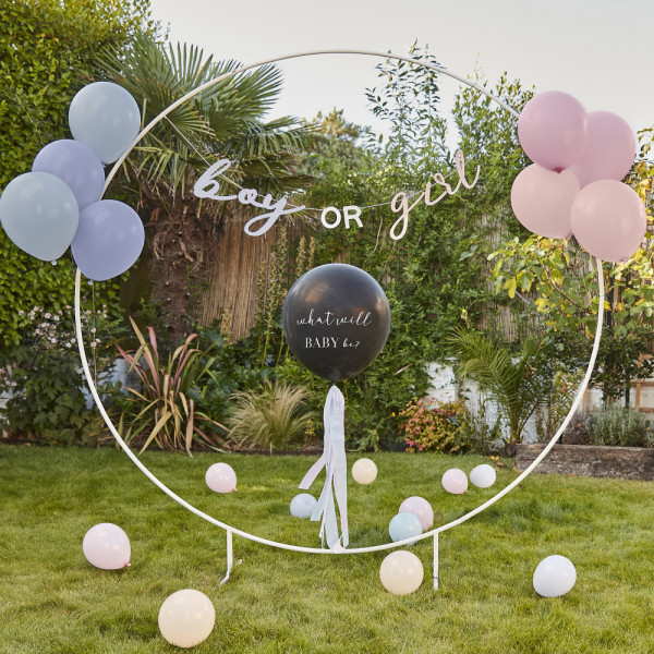 Boy or Girl Gender Reveal Party Set 22-teilig