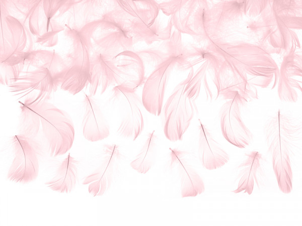 3g Deko Federn rosa 5-8cm