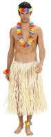 Kunterbunte Luau Partyaccessoires