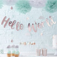 Hallo Welt Girlande roségold 2m