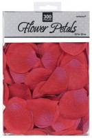 Rosen Streudeko Wedding Day rot