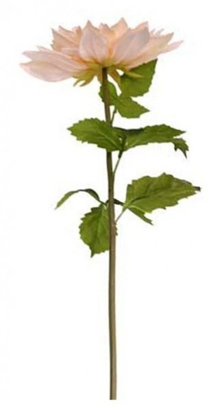 Deko Chrysantheme pfirsich