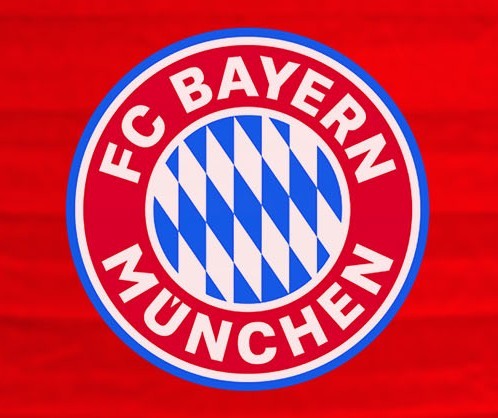 FC Bayern München Lampion 20 cm 2