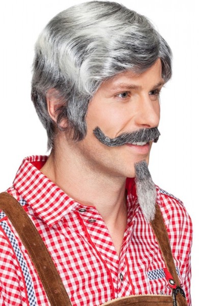 Grauhaar Perücke Alexander 3