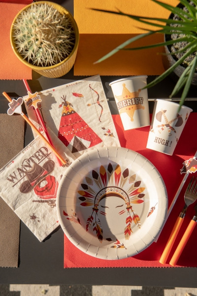 20 Wild West Servietten 33cm 3