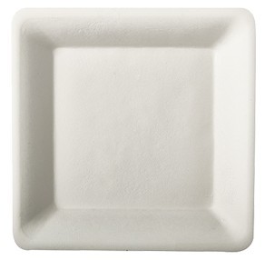 50 Zuckerrohr Teller Aida eckig 15,5 x 15,5cm