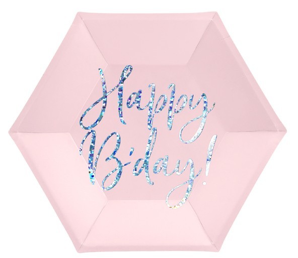 6 Rosa Birthday Pappteller 20cm