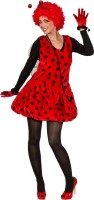 Süßes Marienkäferkleid mit Flügeln