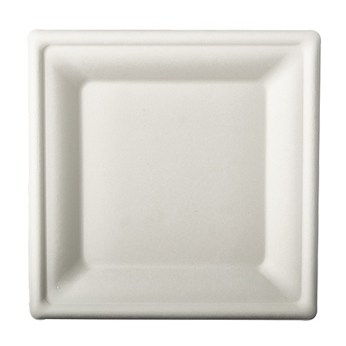12 Zuckerrohr Teller Aida weiß 20 x 20cm