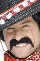 Banditen Schnurrbart Schwarz
