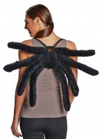 Schaurige Spinnen Flügel