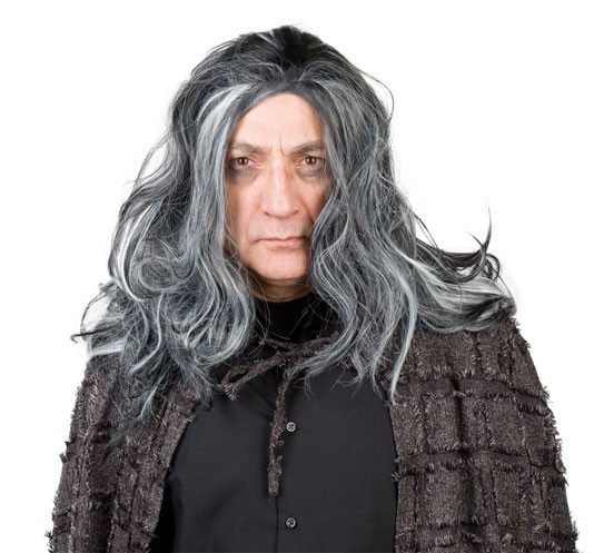 Perücke Grau Lang Vincent Vampir Halloween