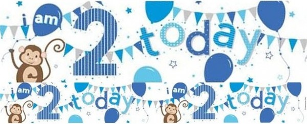 2. Geburtstag Äffchen Folienbanner 2,6m