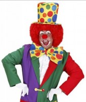 Kunterbunte Riesen Clownsfliege