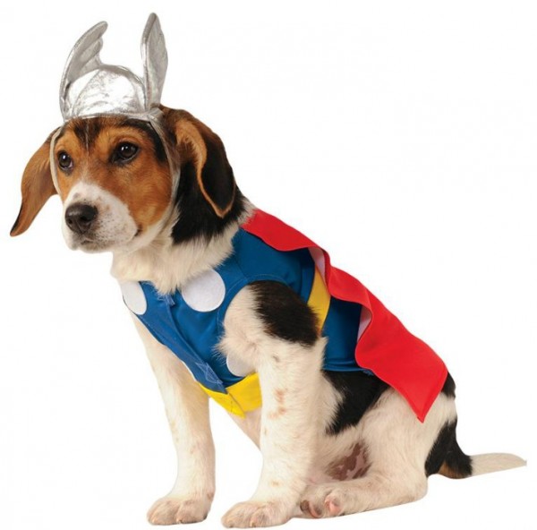 Hundekostüm Thor Marvel