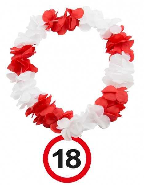 Verkehrsschild 18 Hawaiikette