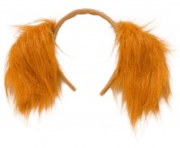 Vorschau: Cocker Spaniel Ohren Bruno