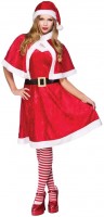 Fröhliches Weihnachts Damen Kostüm