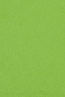 Tischdecke auf Rolle Kiwi-Grün 1 x 30,5m