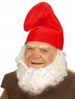 Zwergenmütze in Rot