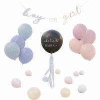 Vorschau: Boy or Girl Gender Reveal Party Set 22-teilig