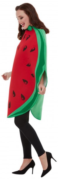 Crazy Watermelon Kostüm für Erwachsene 4