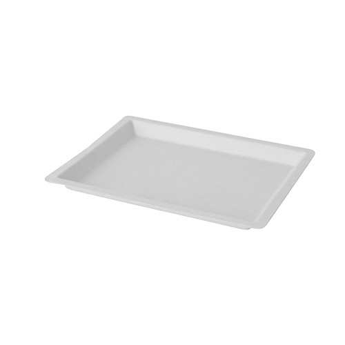 50 Zuckerrohr Teller Aida eckig 14 x 17cm 3