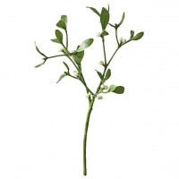 Mistelzweig 38cm