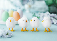 Vorschau: 6 Bunte Oster Brunch Ei Kerzen 7cm