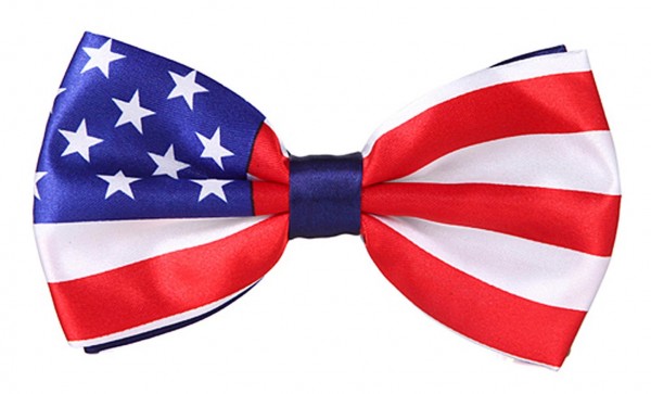 Donald Amerika Fliege