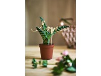 Vorschau: Tortendeko Love Gold 17cm