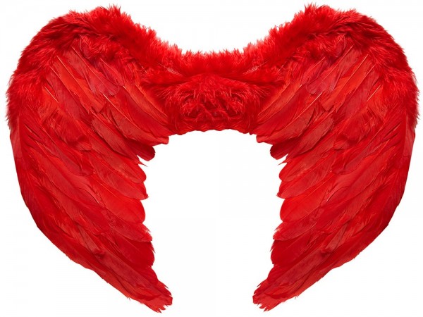 Rote Engelsflügel Dämonenflügel Federn