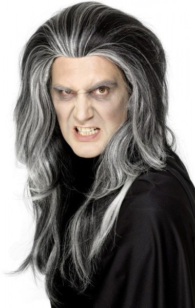 Halloween Perücke Gothic Barock Dracula Langhaar Schwarz Silber