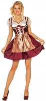 Dirndl Kostüm Stefanie mit Bluse und Schürze