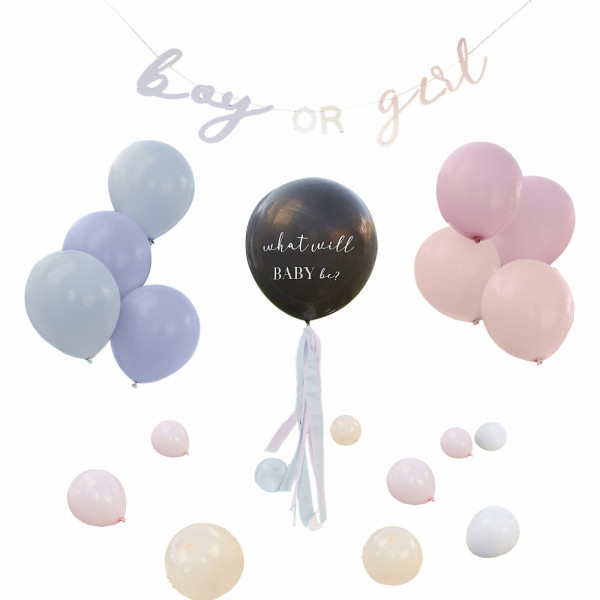 Boy or Girl Gender Reveal Party Set 22-teilig