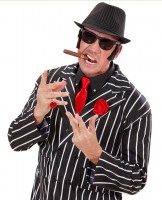 Vorschau: Filius Nadelstreifen Fedora Hut