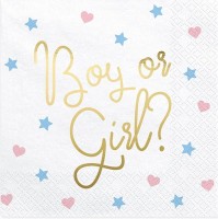 20 Baby Boy or Girl Servietten 33cm