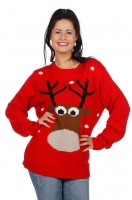 Rentier Weihnachtspullover Rot