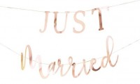 Best Day Just Married Girlande 3m
