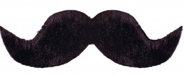 Professor William Schnauzer Schwarz