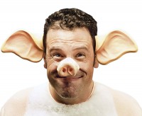 Große Schweine Ohren