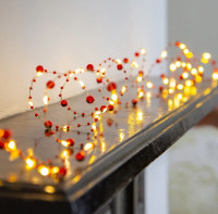 Winterbeeren LED Lichterkette 3m