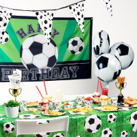 10 Fußball Fan Pappteller 23cm